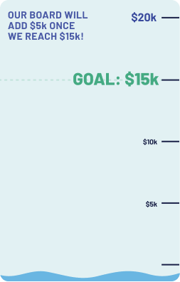 Our Fundraising Goal